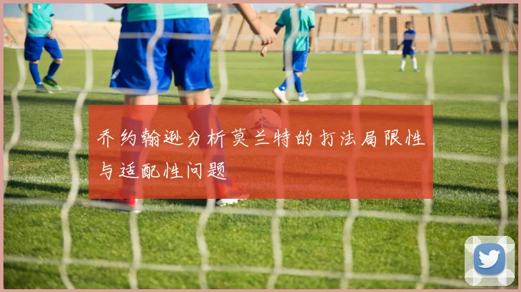 乔约翰逊分析莫兰特的打法局限性与适配性问题