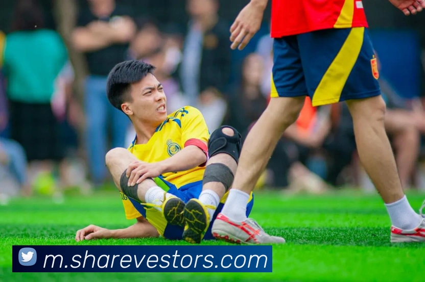 互动解说服务